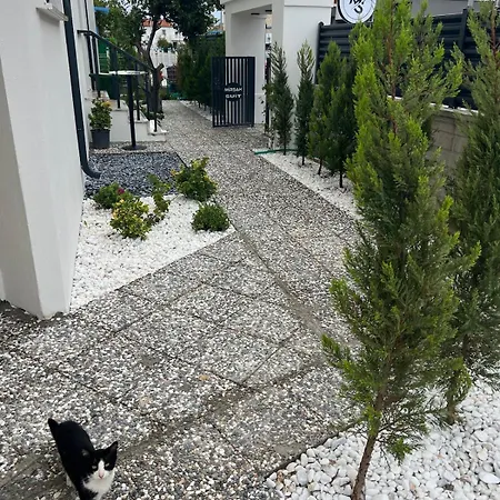 Apartamento Mirsah