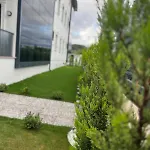 Mirsah * Bezkesen