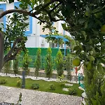 Apartman Mirsah *